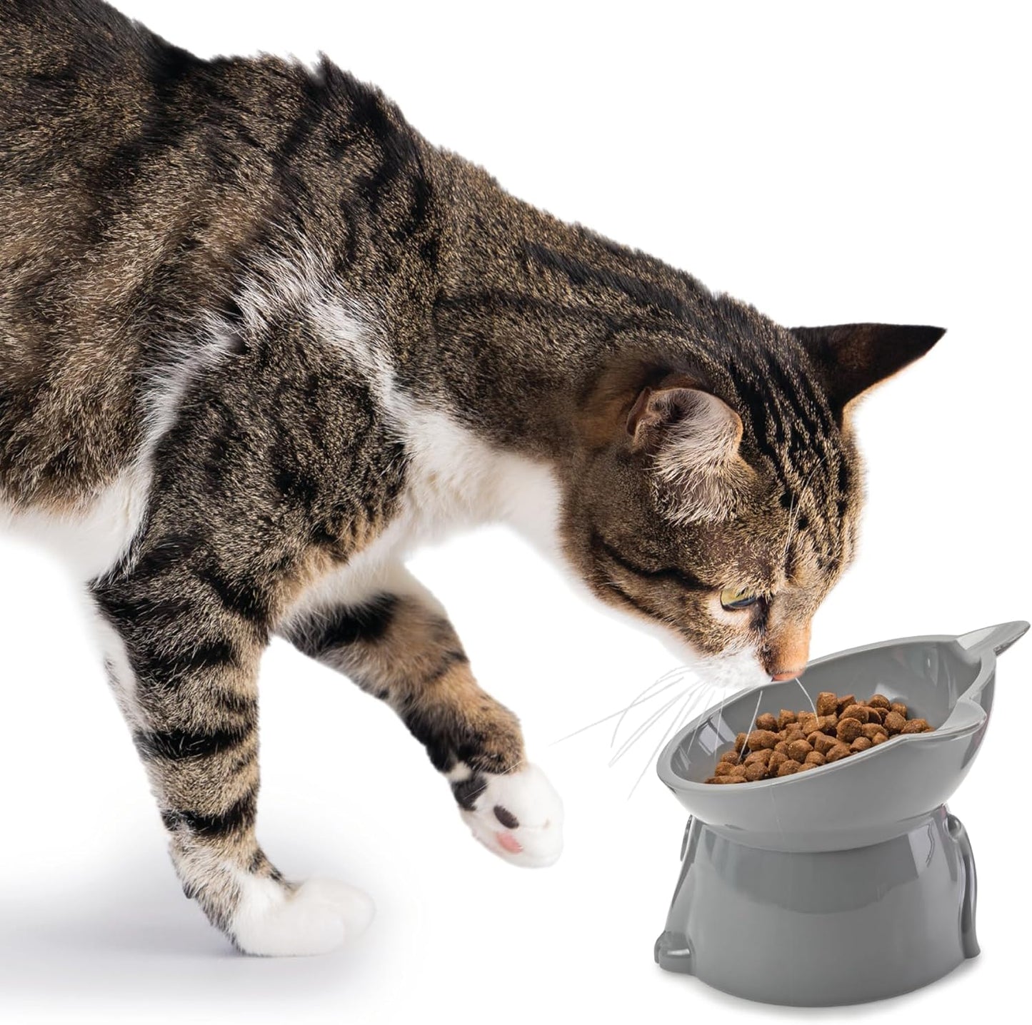 Nice Paws RECYCLED 2PC Plastic Cat Tilt Pet Bowls