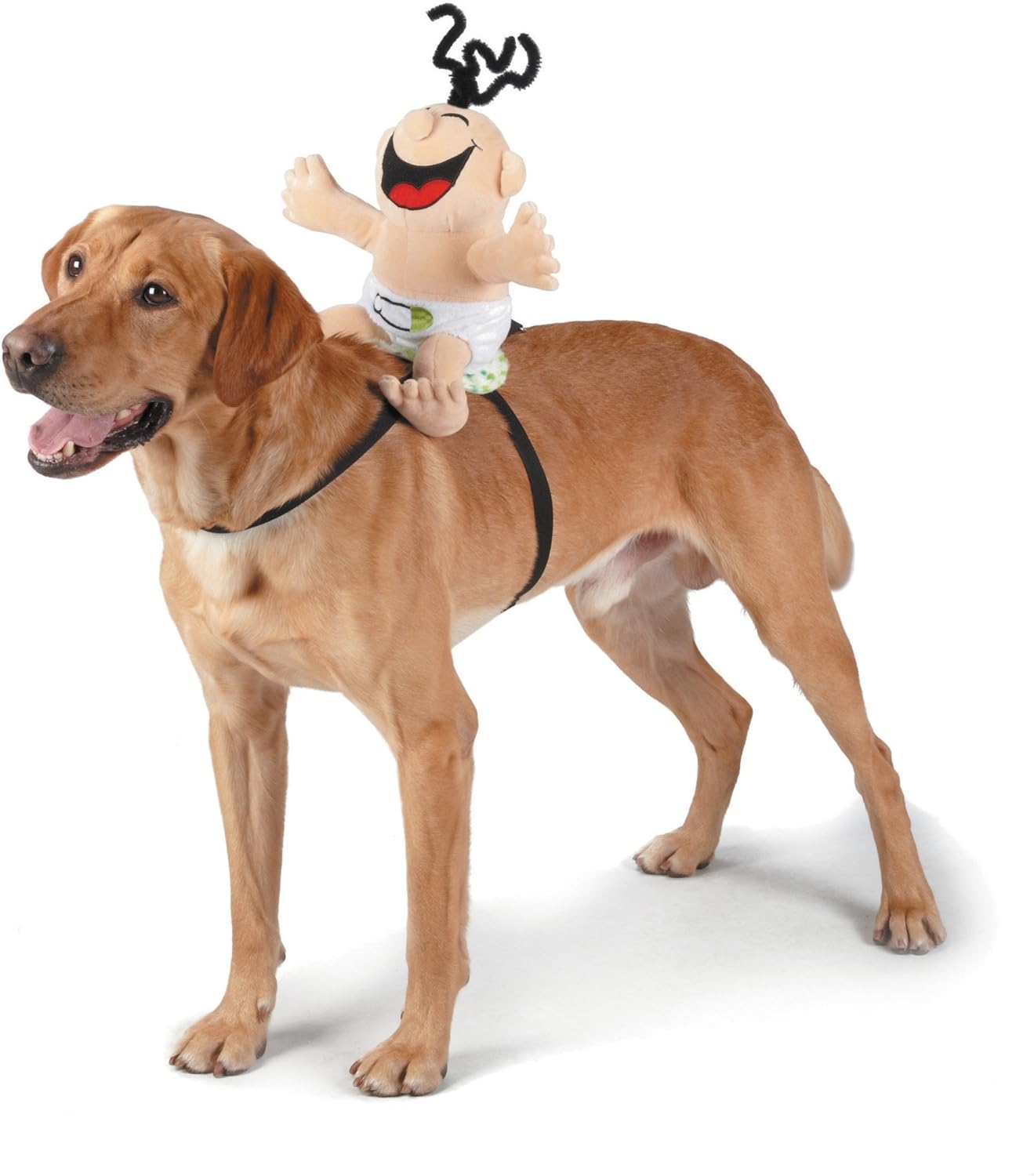 Zack & Zoey Giggling Baby Saddle Costume for Dogs, Small