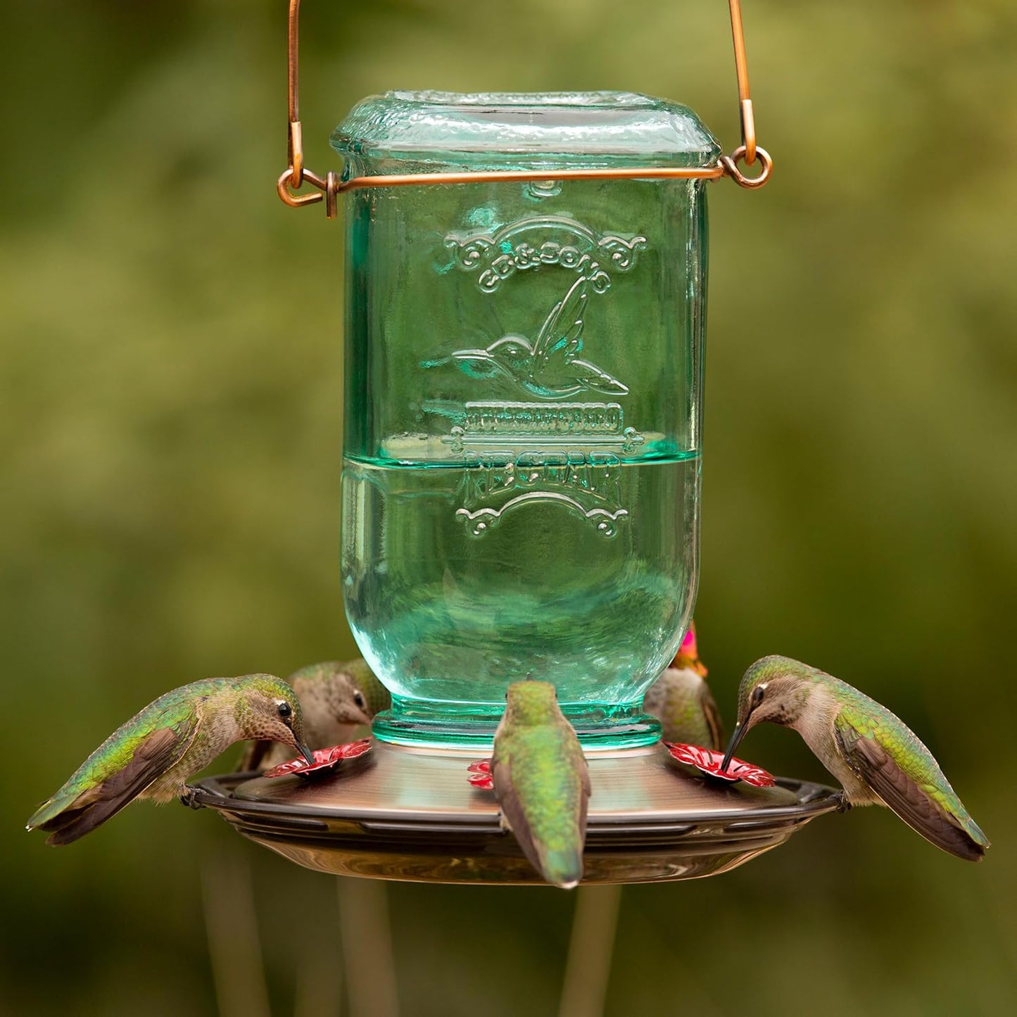 More Birds Clear Mason Jar Glass Hummingbird Feeder - 25 Ounces