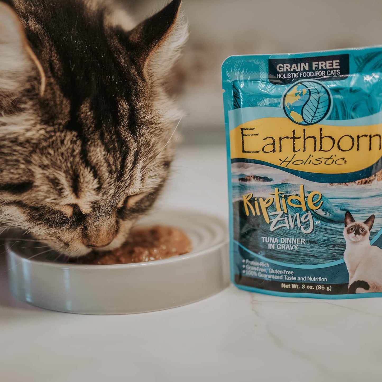 Earthborn Holistic Riptide Zing with Tuna & Gravy Grain-Free Wet Cat Food Pouches - (3 oz) Pack of 24