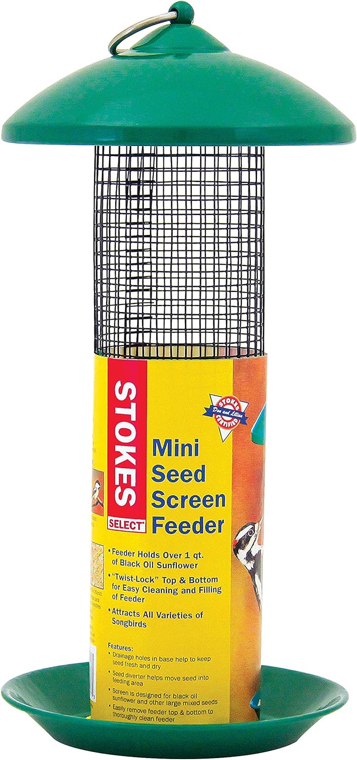 More Birds Green Mini Seed Screen Feeder - 1.3 Quart