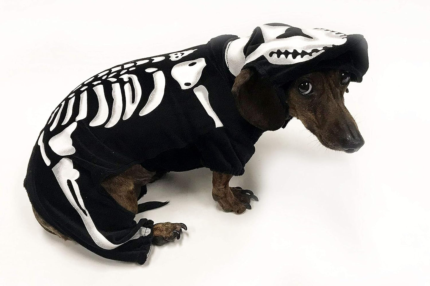 Midlee Two Tone Skeleton Dog Costume (X-Large)