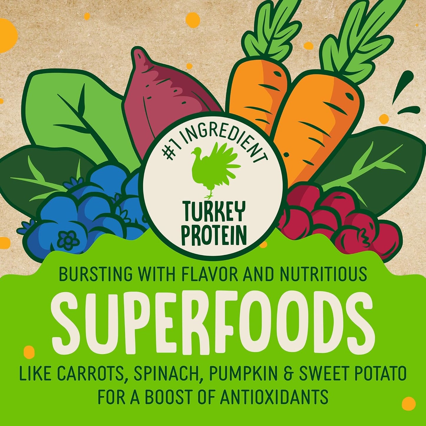 Earthborn Holistic EarthBars Turkey & Pumpkin Grain-Free Crunchy Dog Treats - 2 lbs