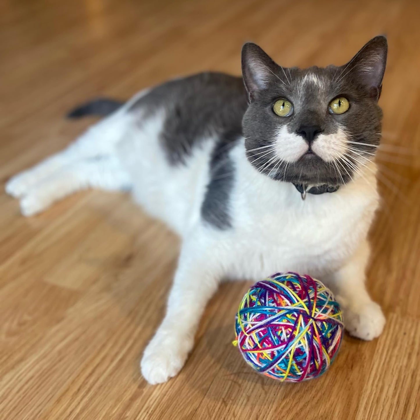 ETHICAL/SPOT Sew Much Fun Yarn Ball Cat Toys - 3.5" (1 pk)