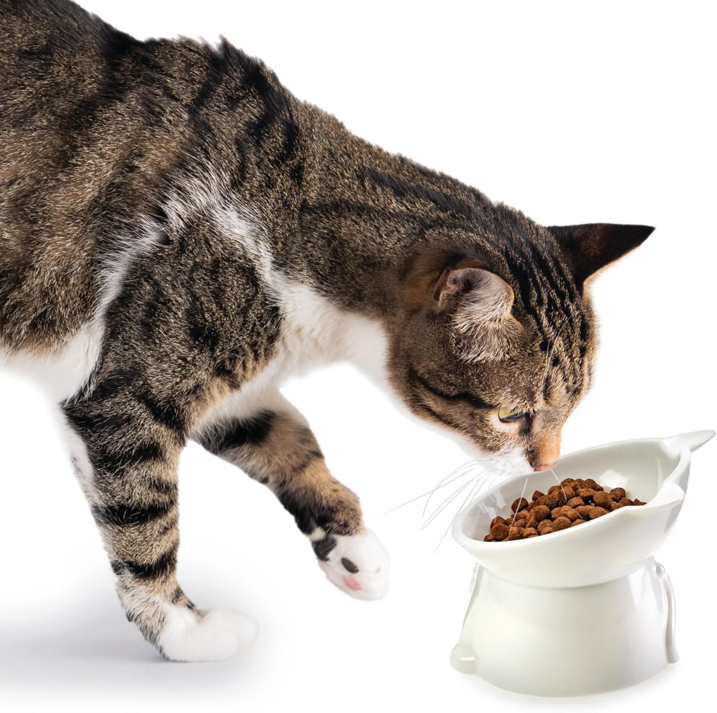 Nice Paws RECYCLED 2PC Plastic Cat Tilt Pet Bowls