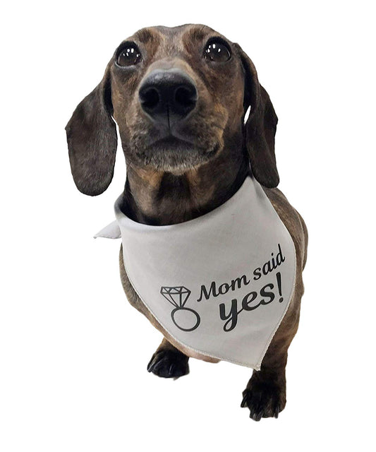 Midlee Mom Said Yes Dog Bandana Engagement Announcement