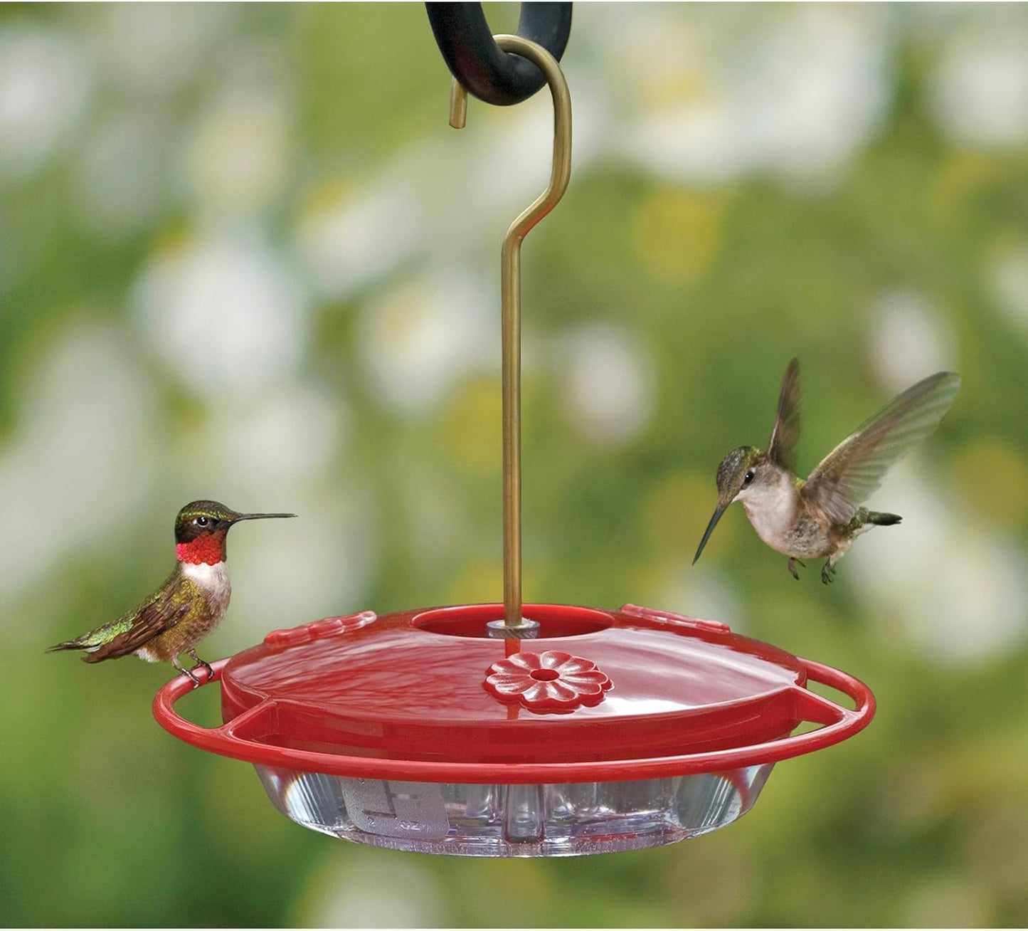 Aspects Mini HummZinger Hanging Hummingbird Feeder - 8 oz (Red)