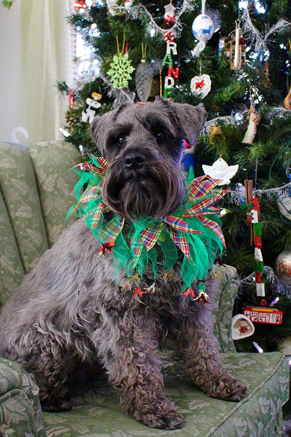 Midlee Plaid and Green Decorative Dog Collar