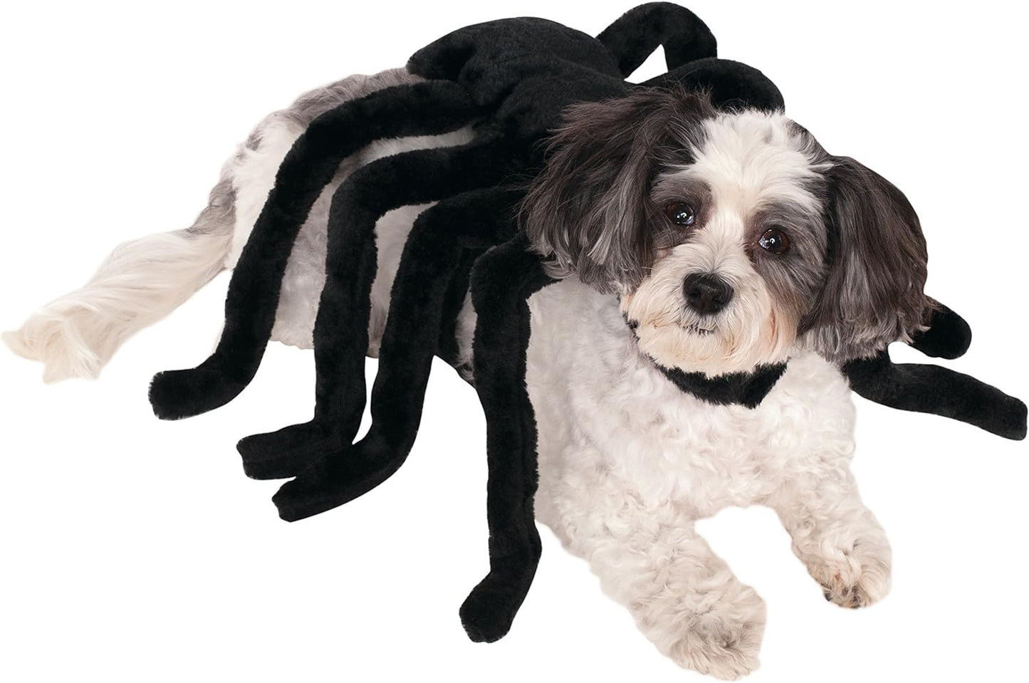 Rubie's Pet Spider Harness Costume, Small
