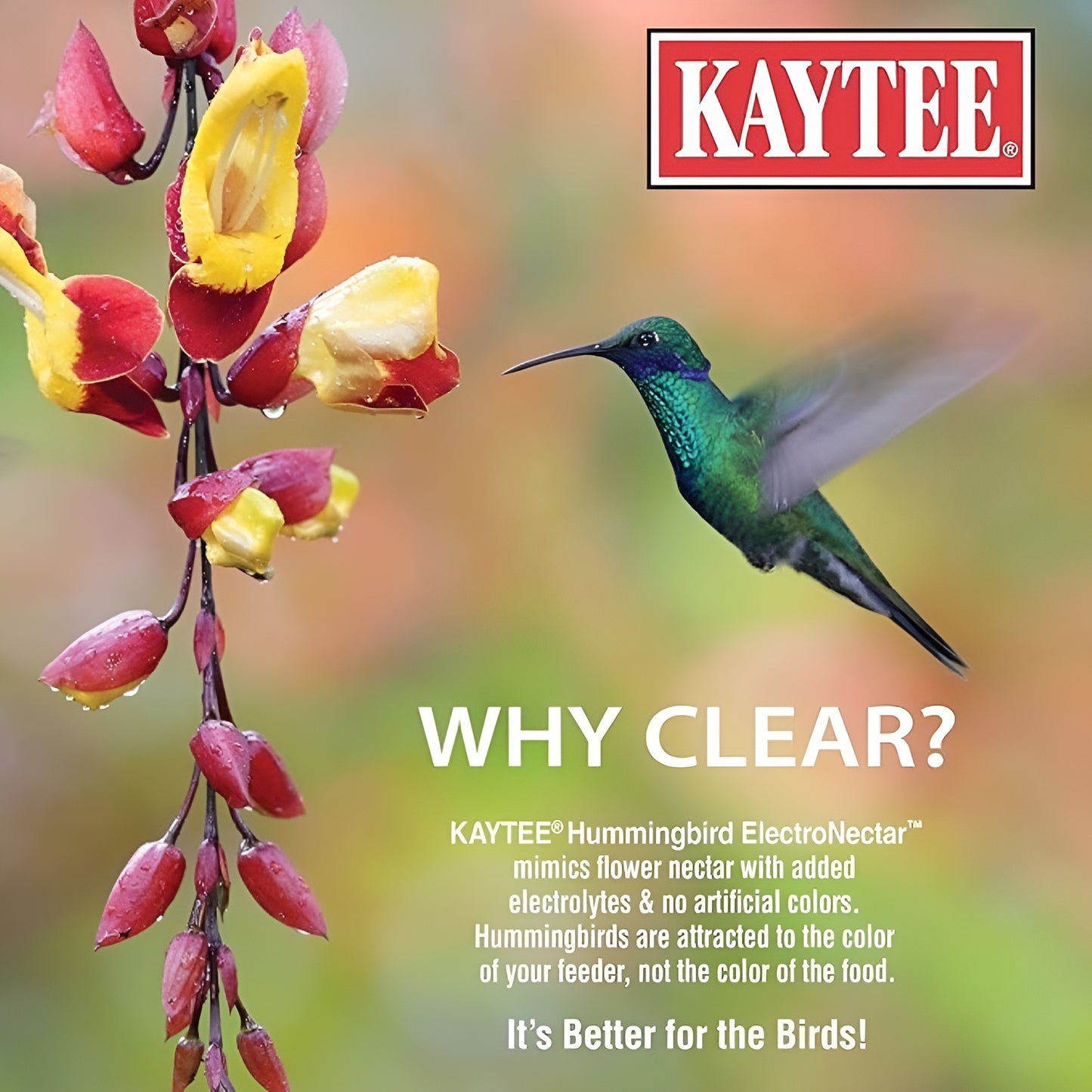 Kaytee Hummingbird Electronectar, Ready To Use, 16 Ounces