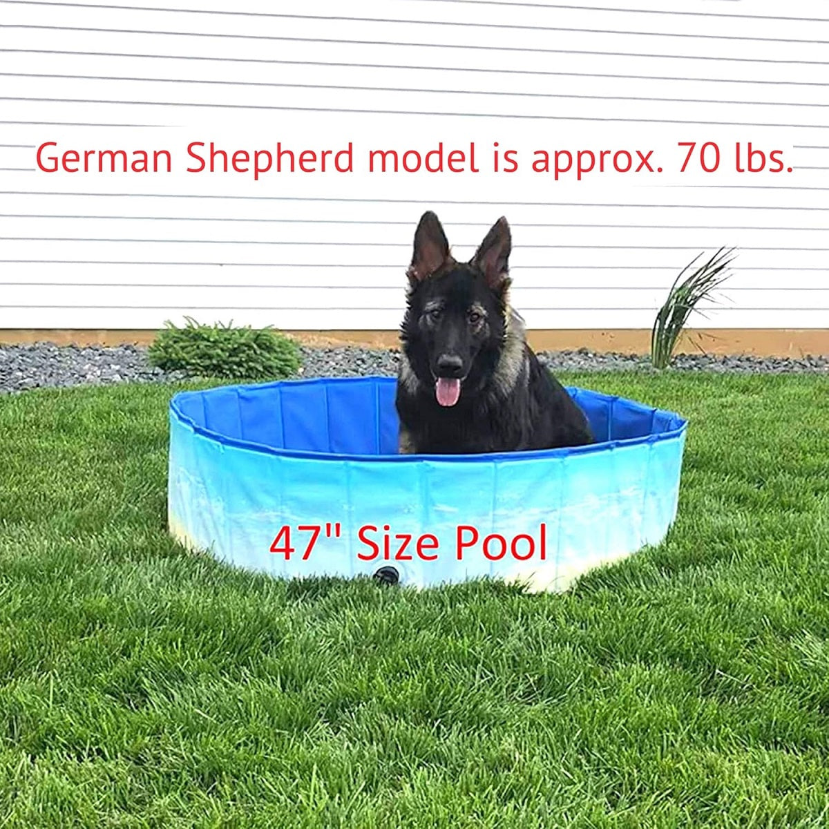 Midlee Dog Pool - Foldable & Portable Outdoor Bathing Tub …
