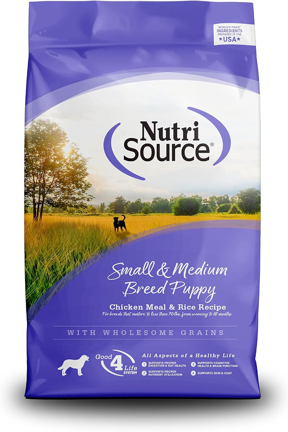 NutriSource Small & Medium Breed Puppy Chicken and Rice Recipe With Wholesome Grains Dry Dog Food - 26 Lb