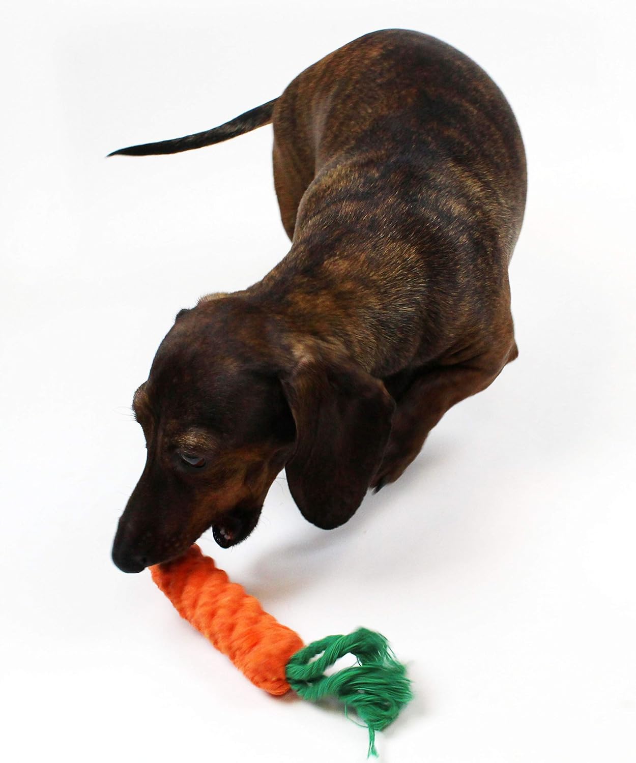 Midlee Rope Carrot Easter Dog Toys