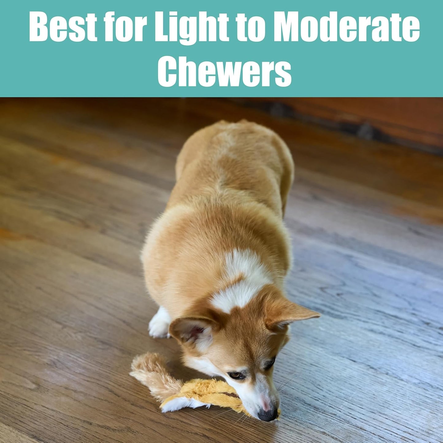 Spot Skinneeez Plush Squirrel Dog Toy-14"