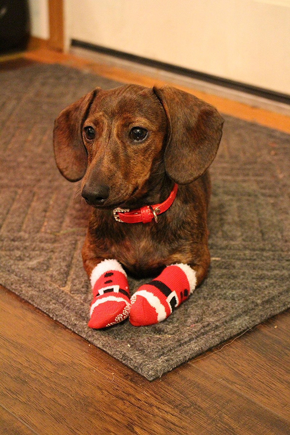 Midlee Small Santa Socks for Dogs