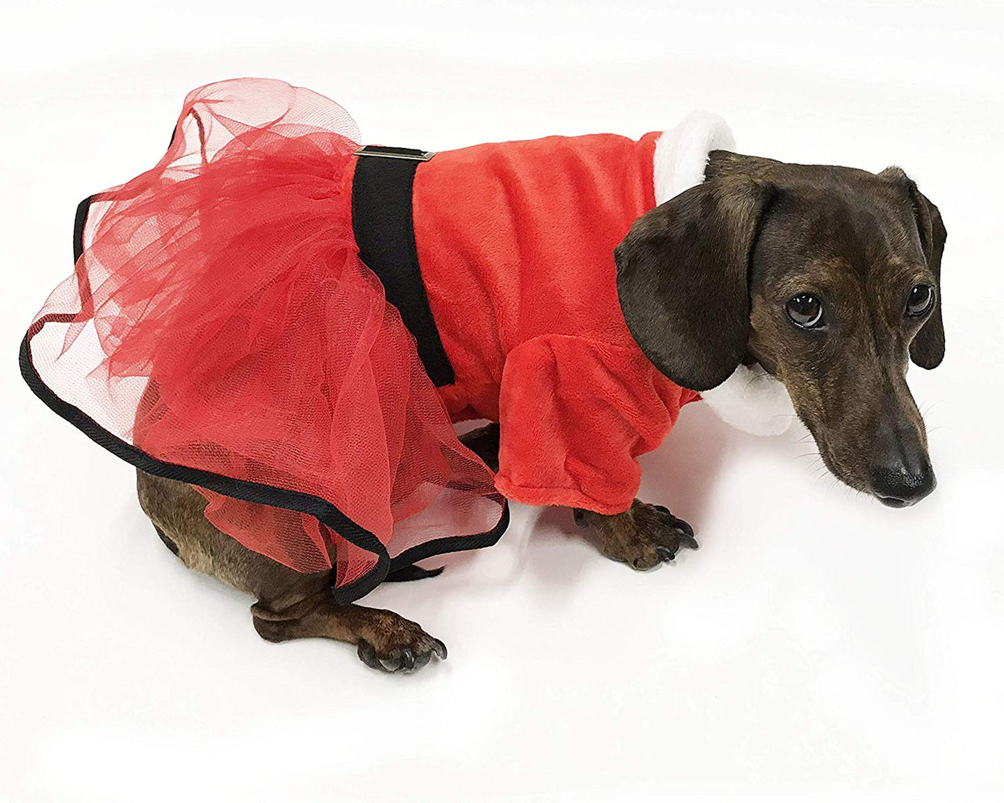 Midlee Mrs. Claus Santa Tutu Dog Dress