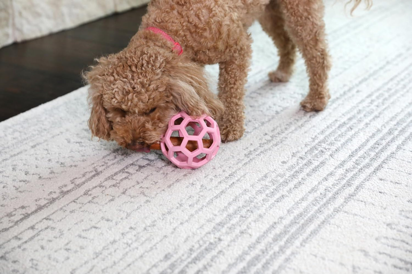 JW Pet Hol-ee Roller Rubber Dog Toy - Small (3" Diameter) Pink