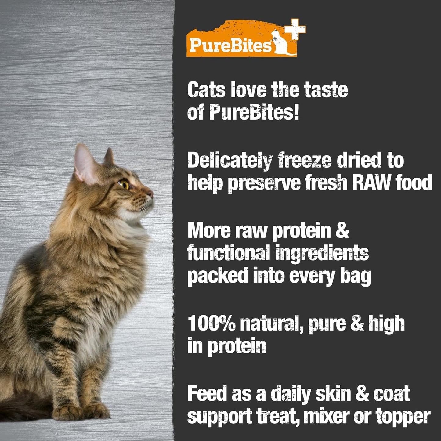 PURE BITES+ Skin & Coat Freeze Dried Cat Treats Made in USA 1.09oz