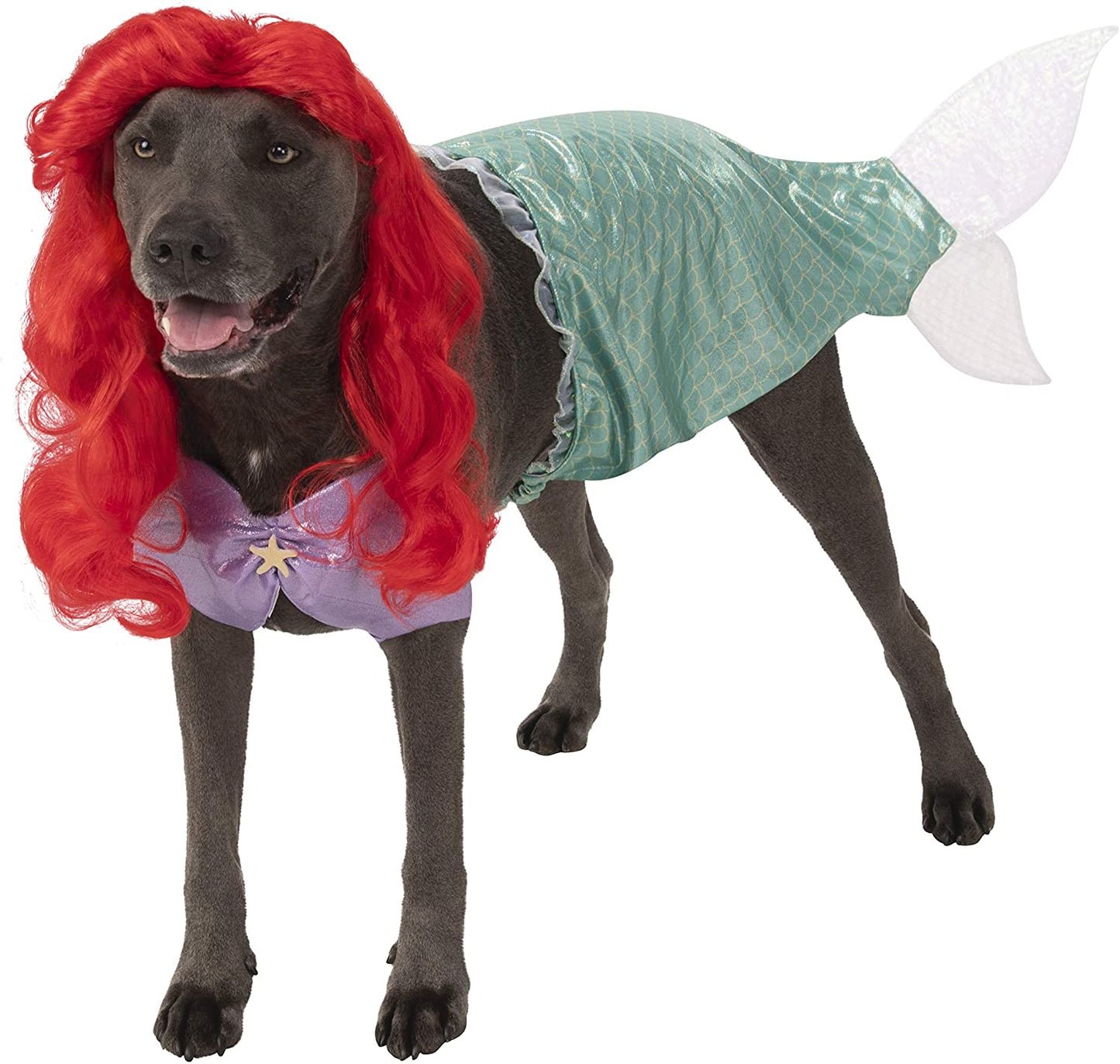 Rubies Disney Princess Pet Costume, Ariel, XXX-Large – Midlee Designs