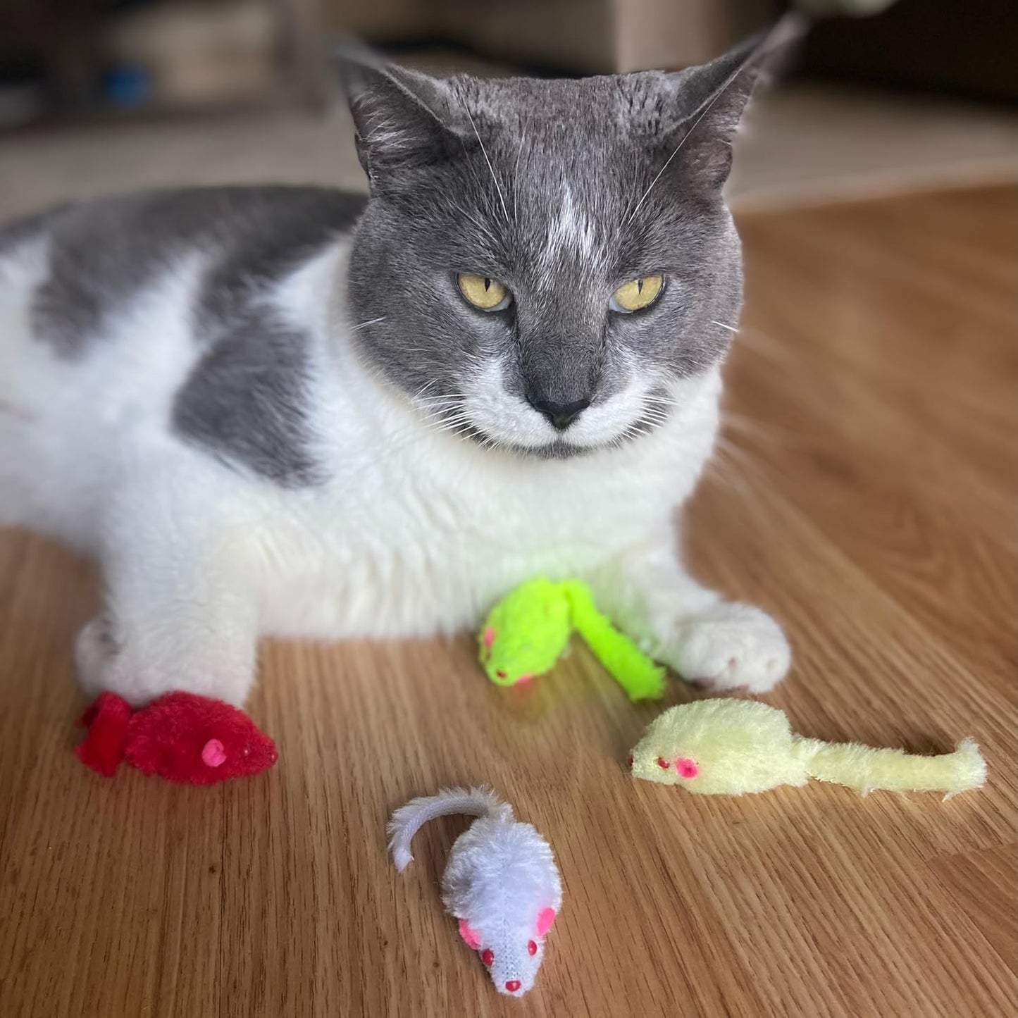 Spot Colored Plush Mice Cat Toys - 4pc