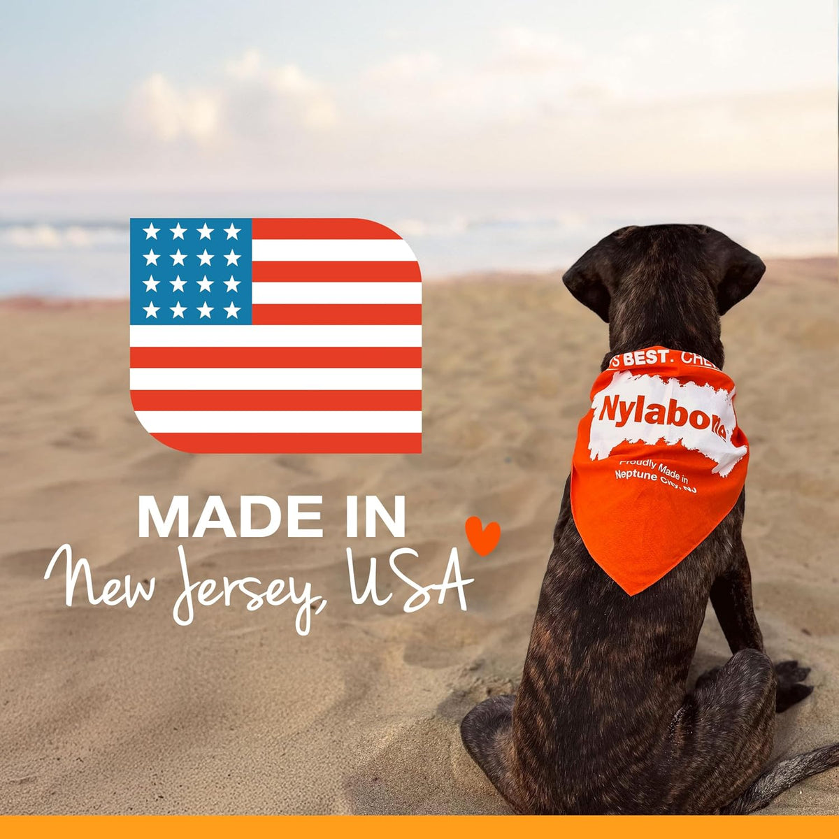 Nylabone Power Chew Antler Alternative Venison Flavor - Medium