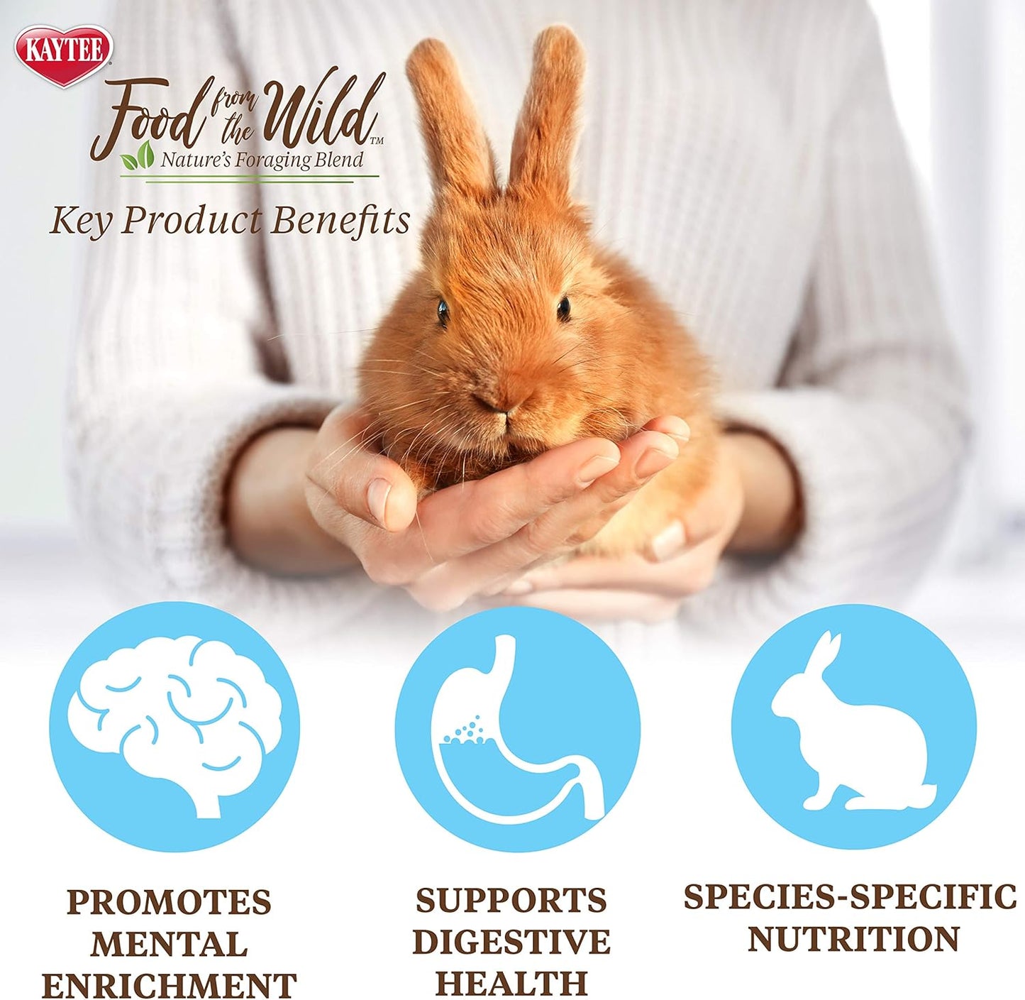 Kaytee Food From The Wild Rabbit Food - 4 lbs