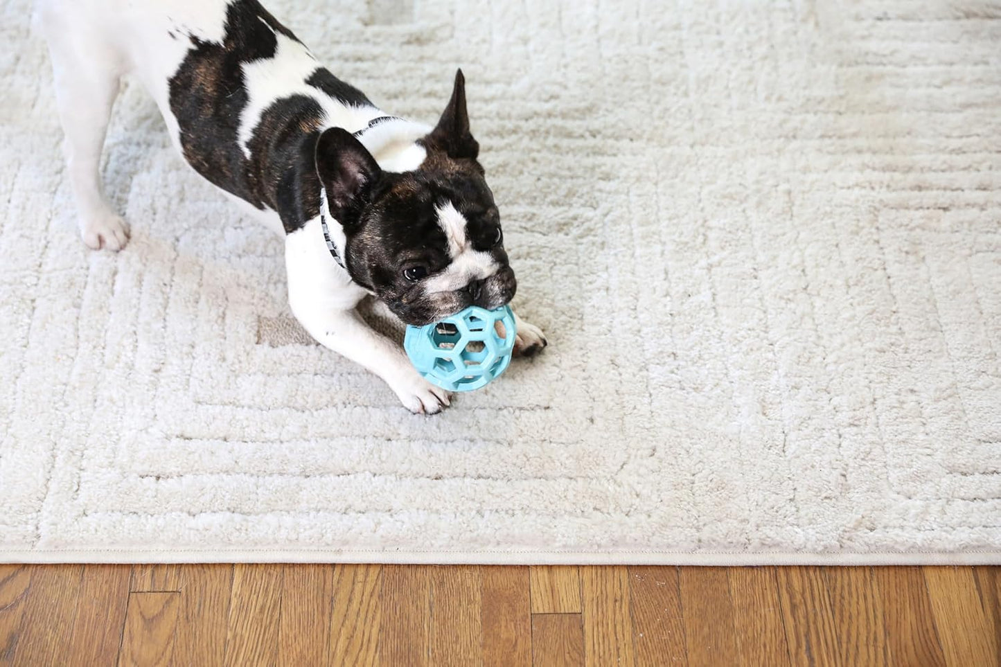 JW Pet Hol-ee Roller Rubber Dog Toy - Small (3" Diameter) Blue