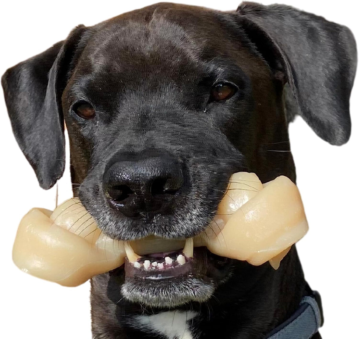 Nylabone Power Chew Knot Bone Big Dog Chew Toy Chicken Flavor