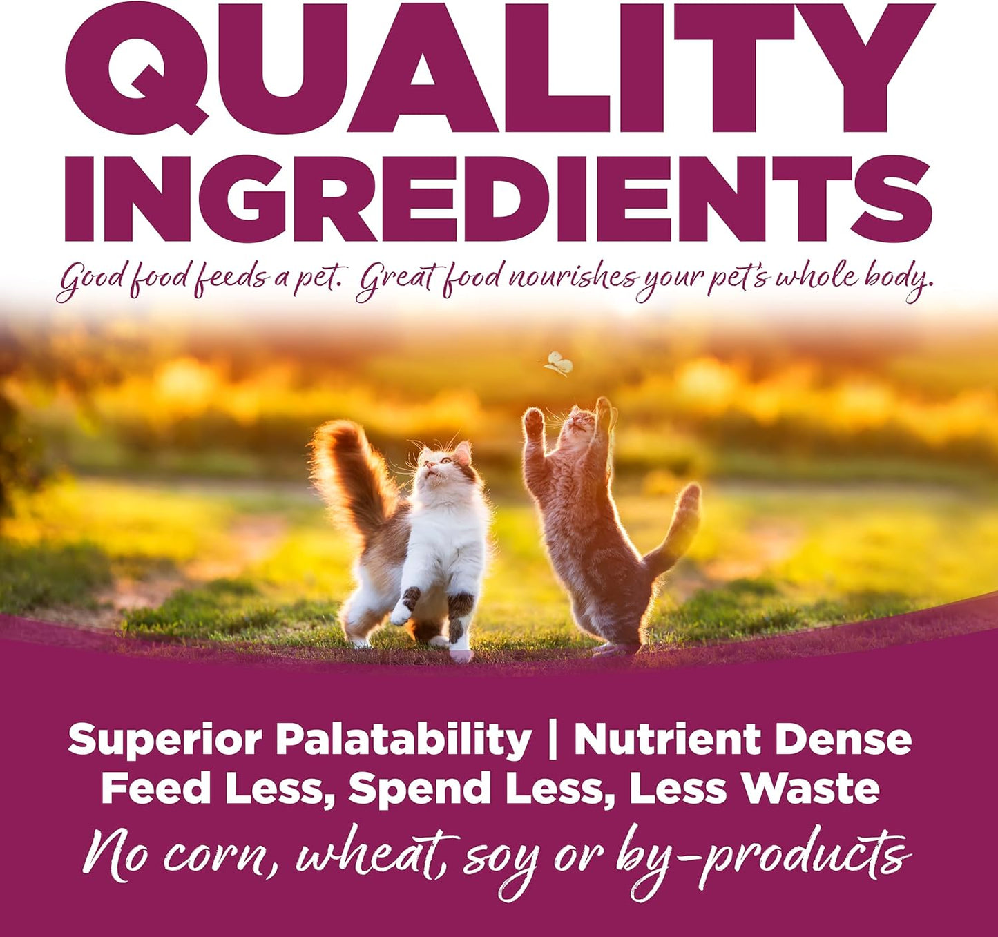 NutriSource Chicken and Rice Canned Cat Food - 5.5 oz (Pack of 12)