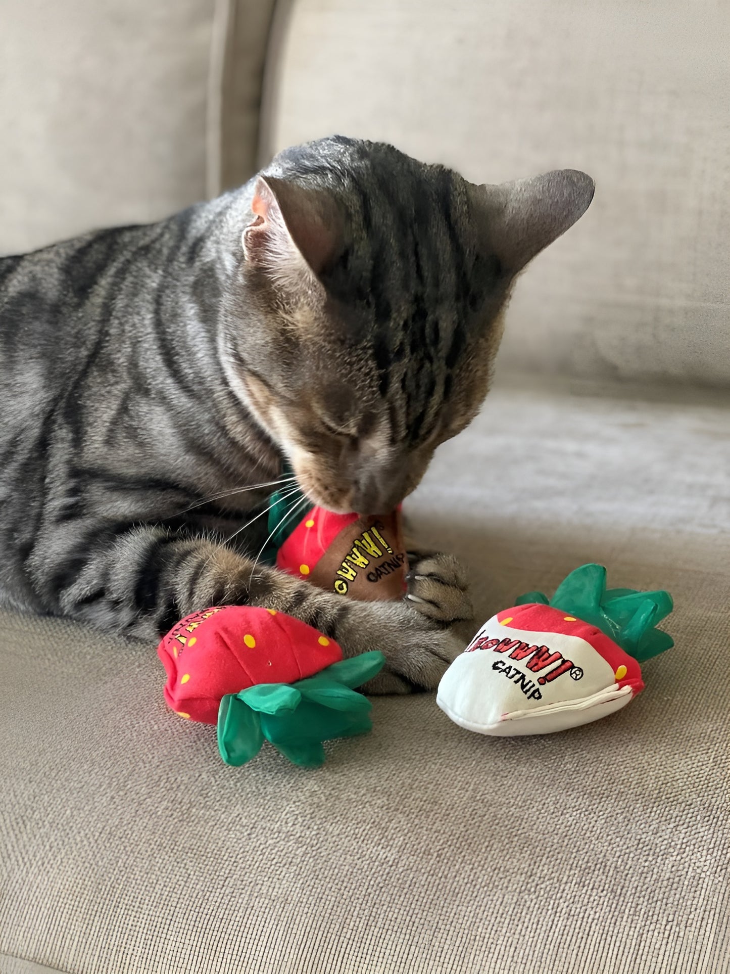 Yeowww! Catnip Strawberry Cat Toys - Chocolate