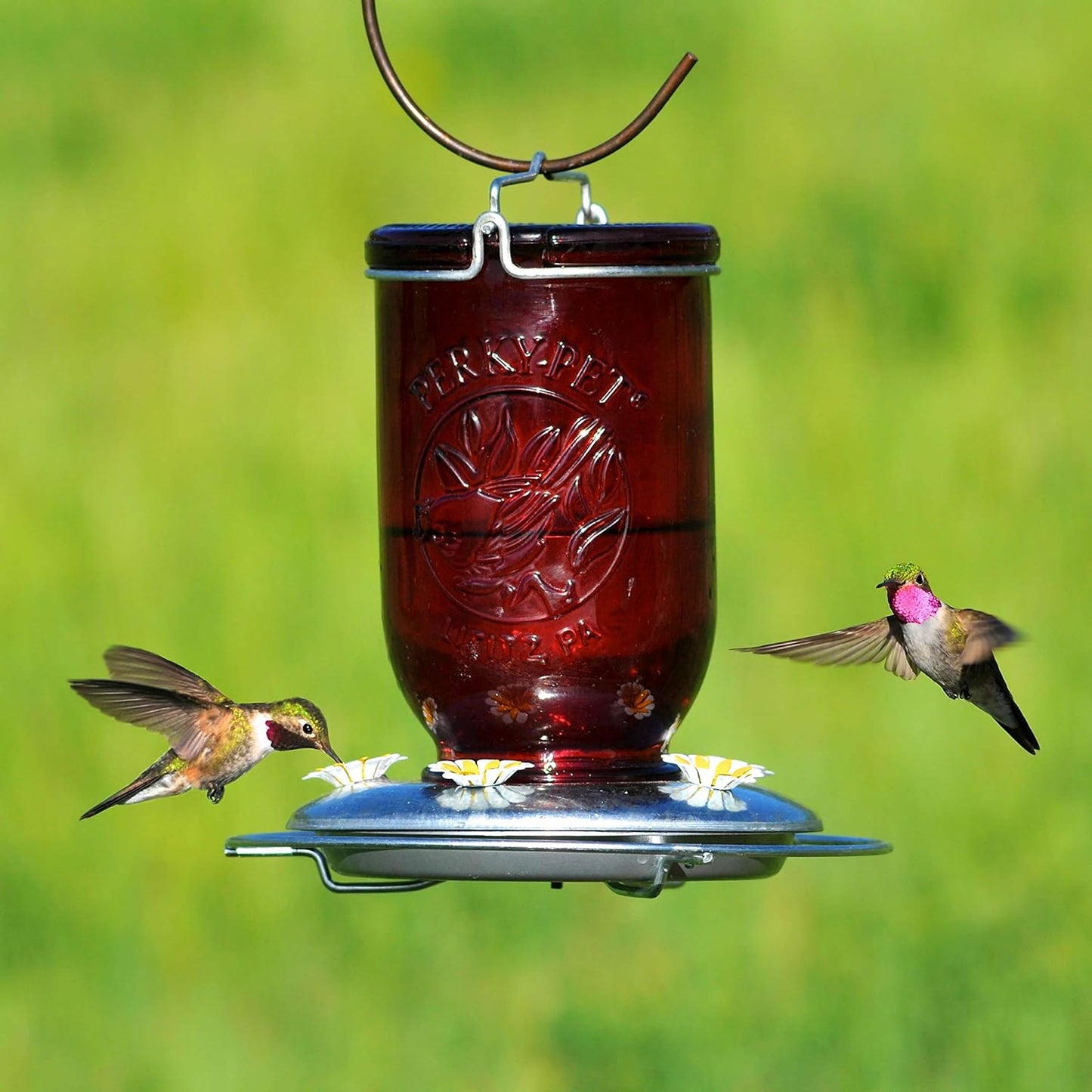 Perky-Pet Mason Jar Vintage Glass Hummingbird Feeder - Red (32 Oz)