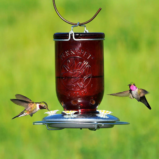 Perky-Pet Mason Jar Vintage Glass Hummingbird Feeder - Red (32 Oz)