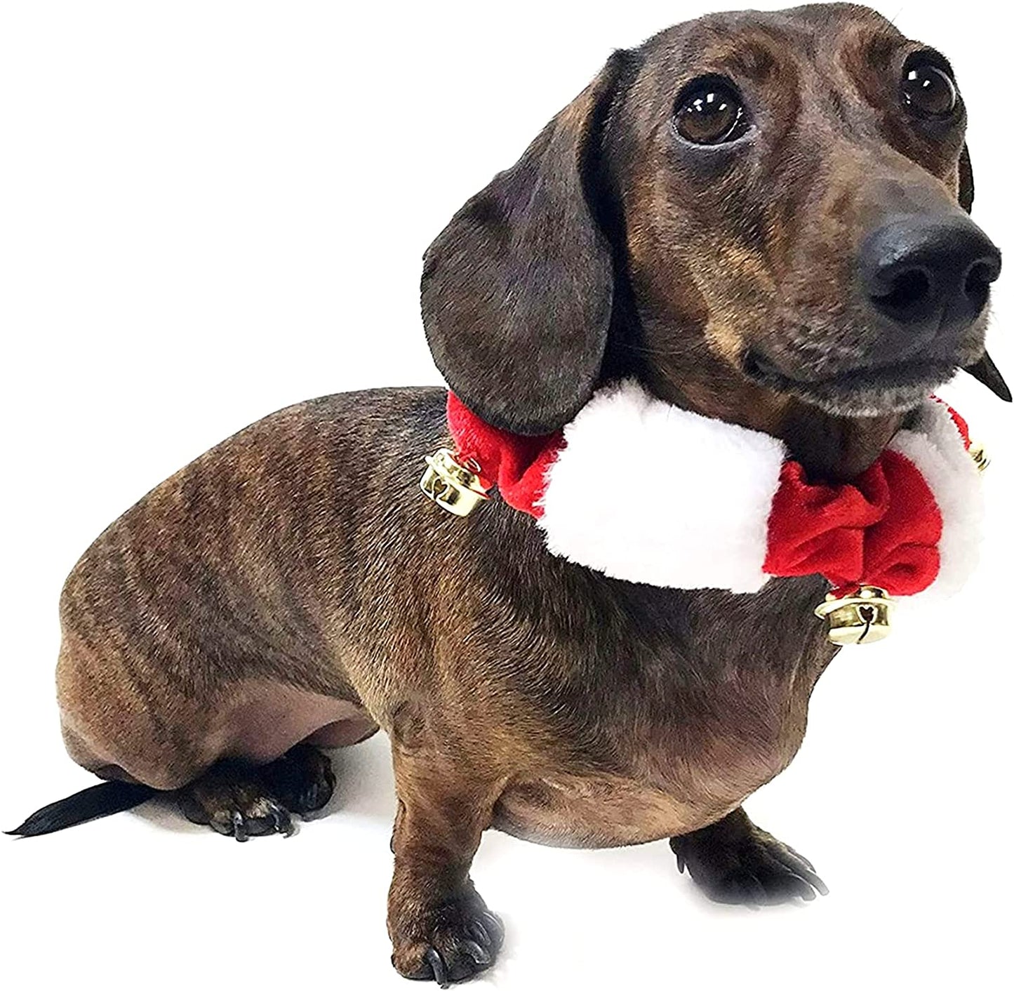 Midlee White/Red Christmas Plush Bell Collar