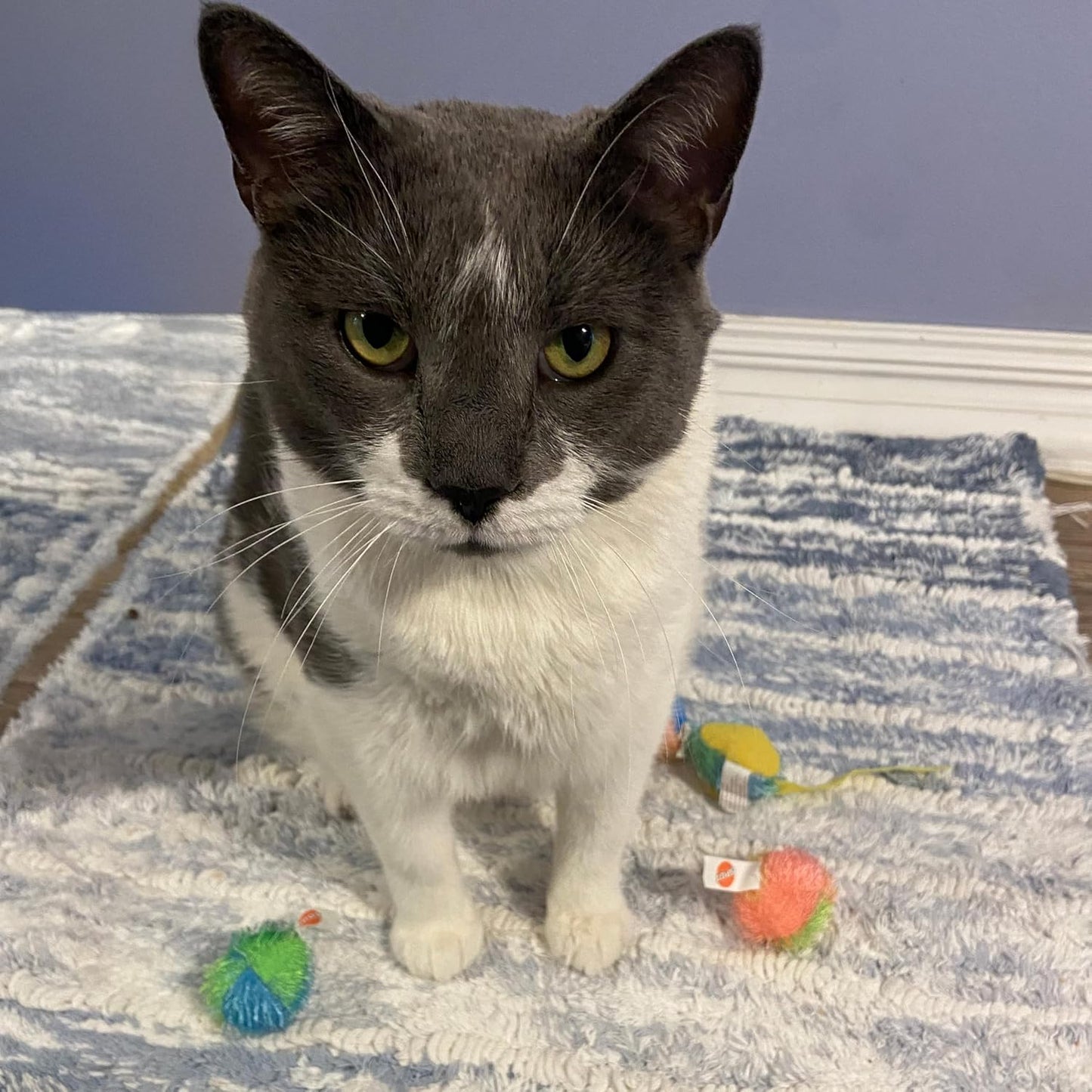 Spot Spotnips Stringy Mice & Balls Catnip Toy - 4 Pack