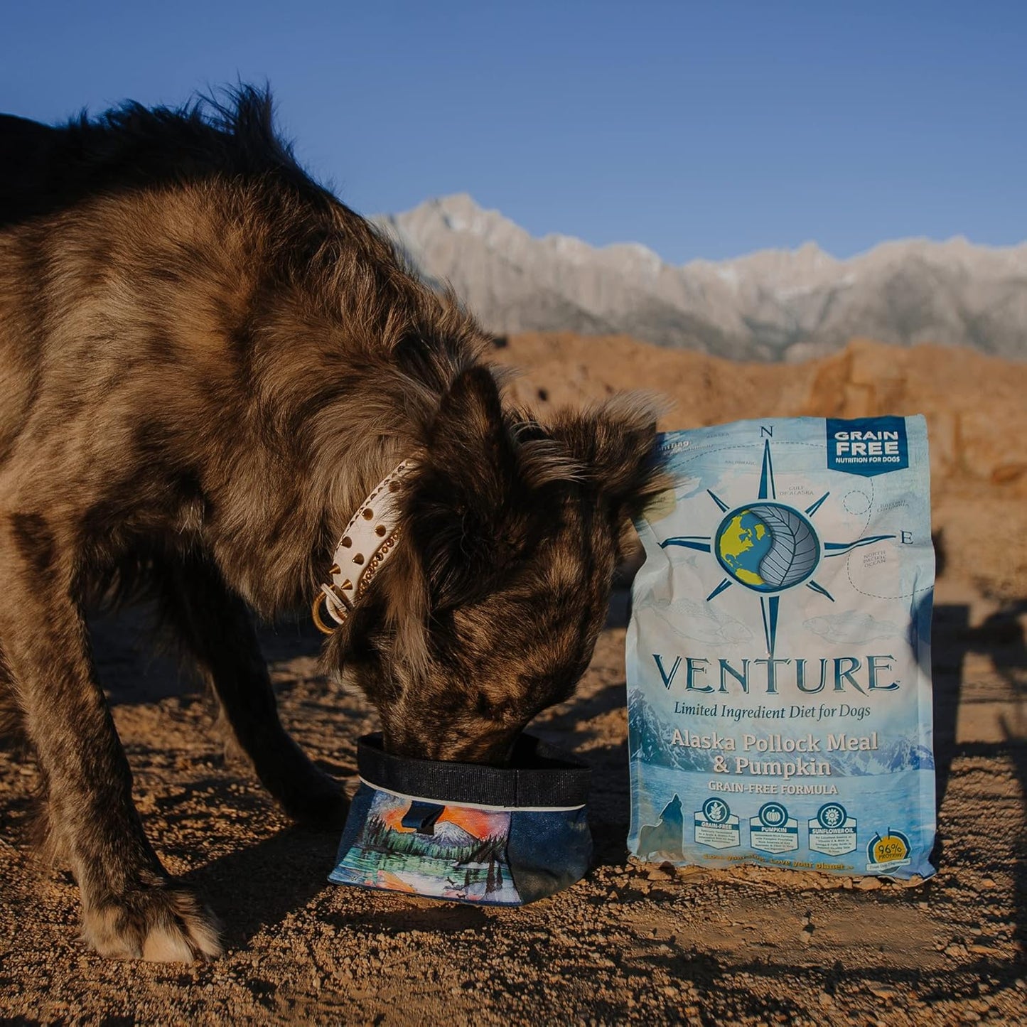 Earthborn Holistic Venture Alaska Pollock Meal & Pumpkin Dry Dog Food - 25 lbs