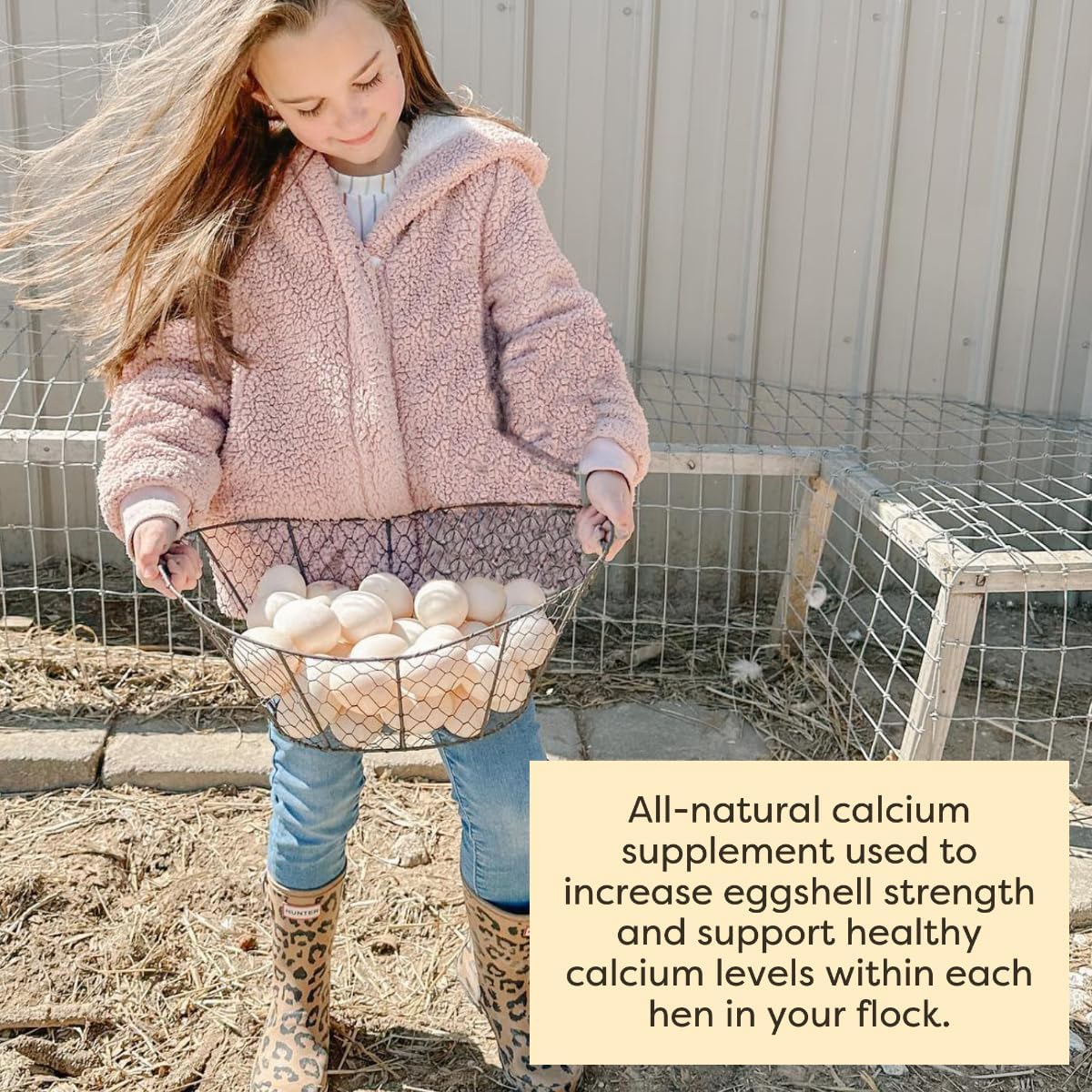 Scratch and Peck Feeds Cluckin Good Organic Ground Oyster Shell for Chickens and Ducks - 4 lbs