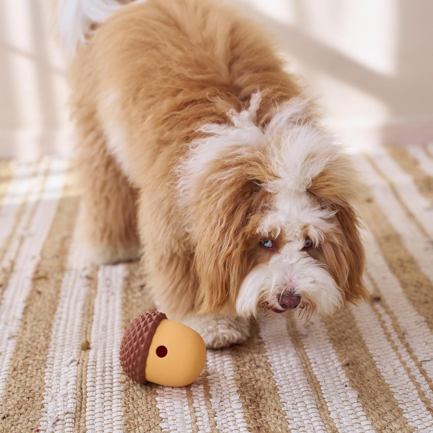 Ethical/Spot Treat Tumbler Acorn Dog Toy 5"