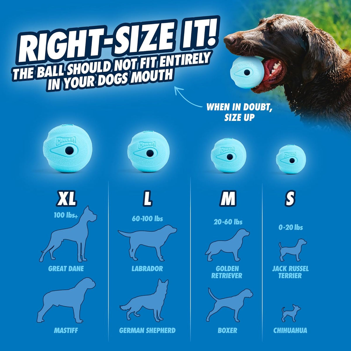 Chuckit! The Whistler Ball Dog Toy, Small (2 Inch Diameter) for Dogs 0-20 lbs