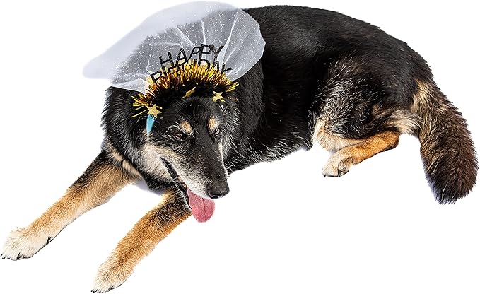 Midlee Sparkle Happy Birthday Dog Headband (Blue)