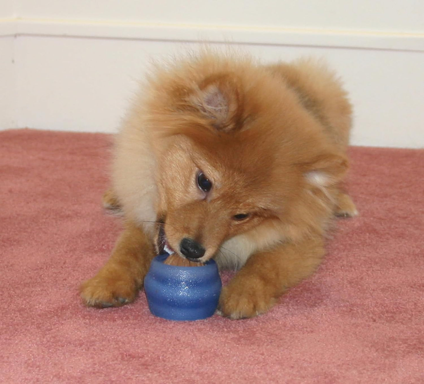 Starmark Everlasting Treat Ball with 1 Treat - Small
