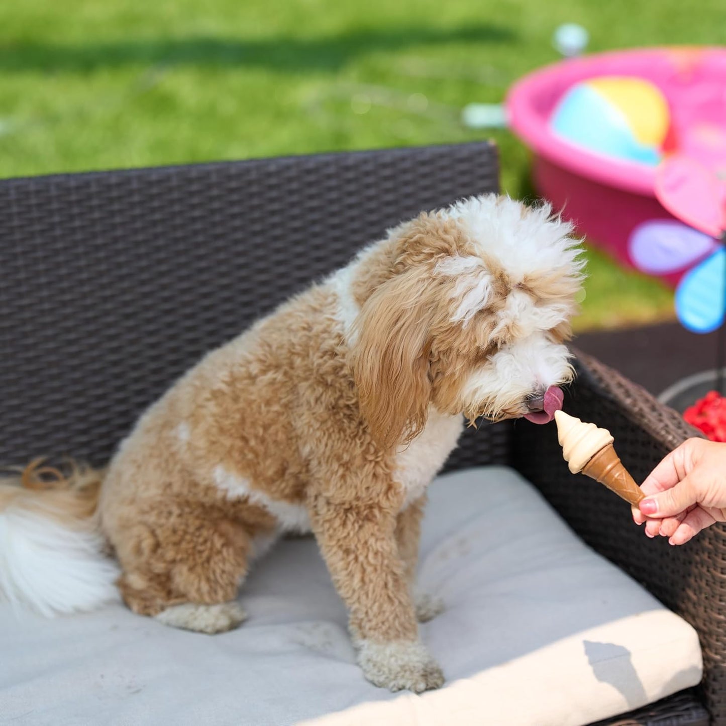 Ethical Pup Ice Freeze-at-Home Dog Chews Treats, Waffle Cone Vanilla and Peanut Flavor
