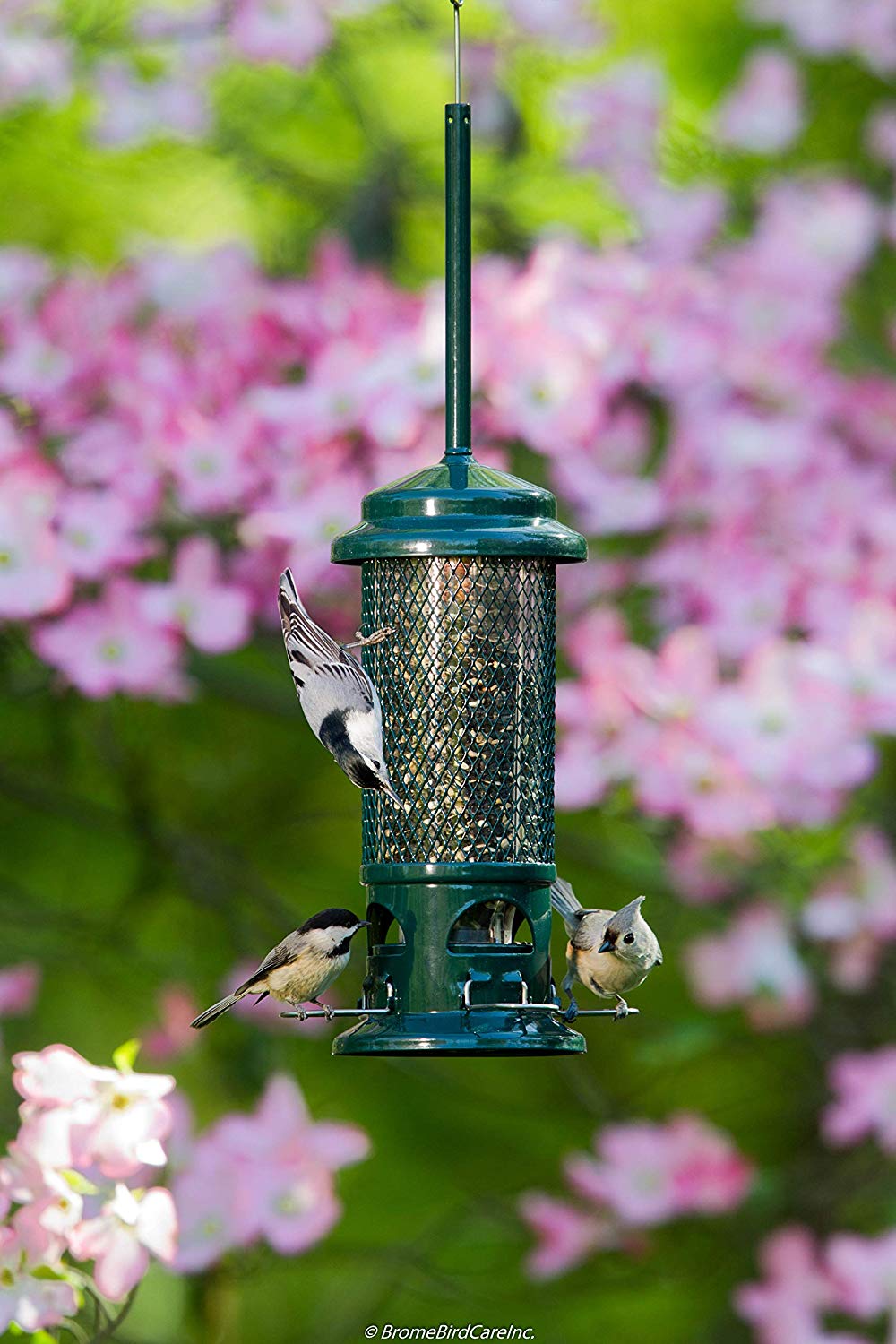 Squirrel Buster Standard Squirrel-proof Bird Feeder w/4 Metal Perches, 1.3-pound Seed Capacity