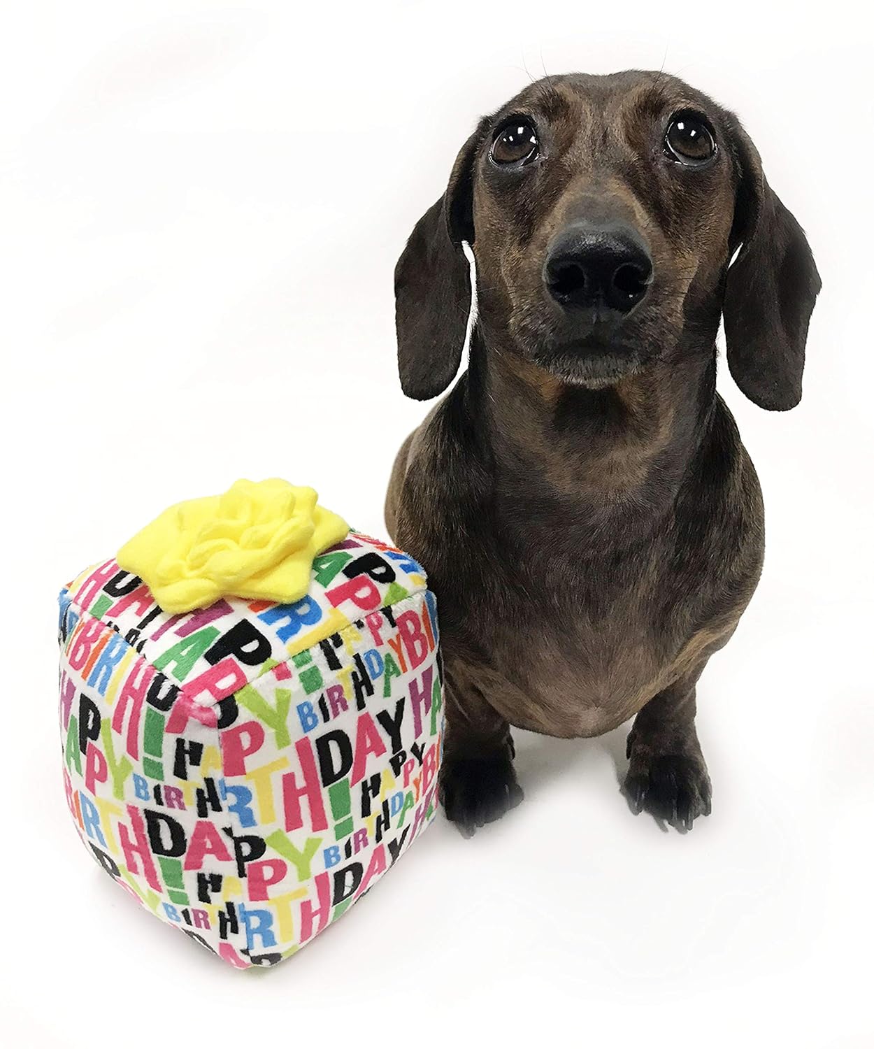 Midlee Singing Birthday Gift for Dogs Plush Toy