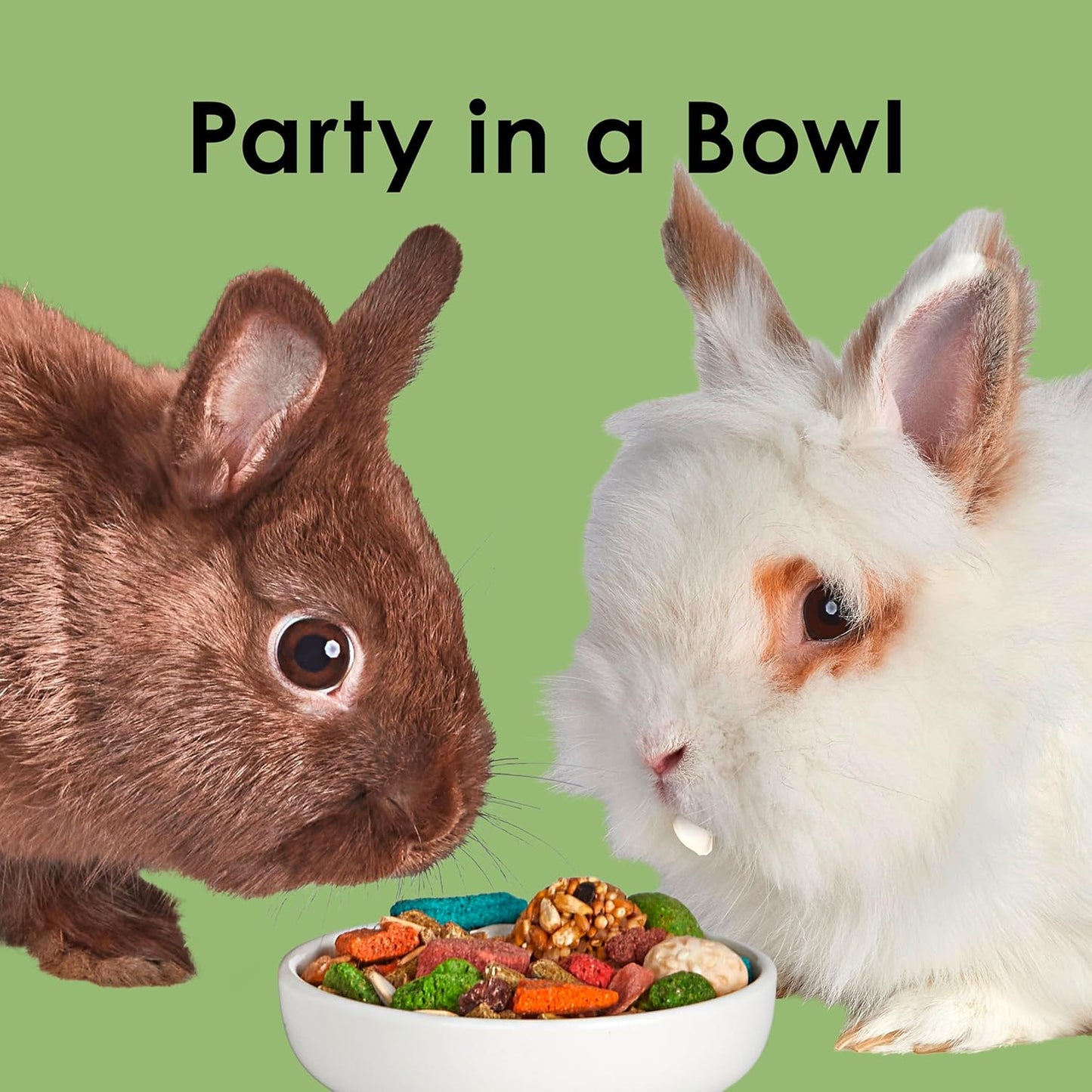 Kaytee Fiesta Gourmet Variety Diet Rabbit Bunny Food- 6.5lbs