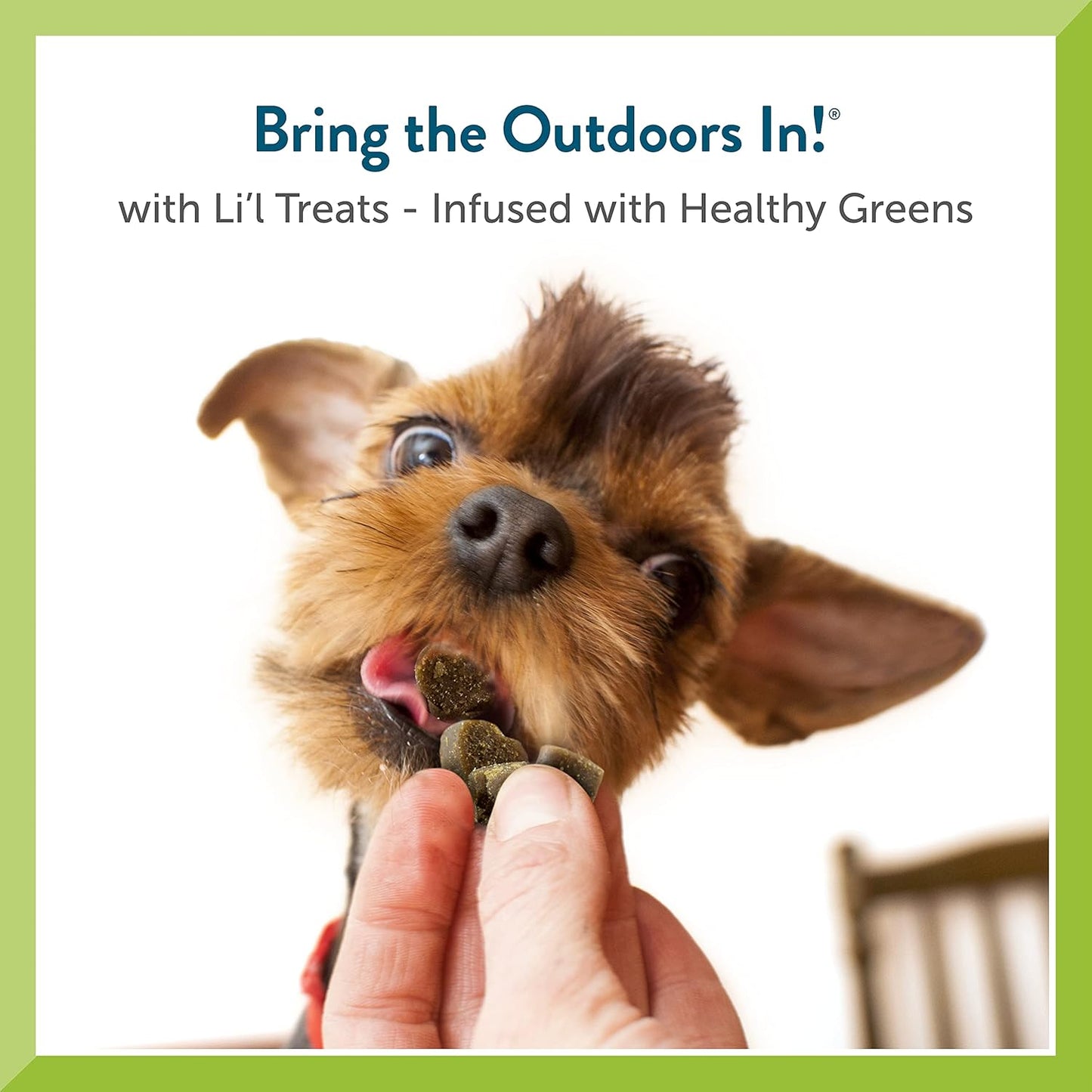 Pet Greens Bell Rock Li'l Treats Healthy Salmon Dog Treat - 6oz