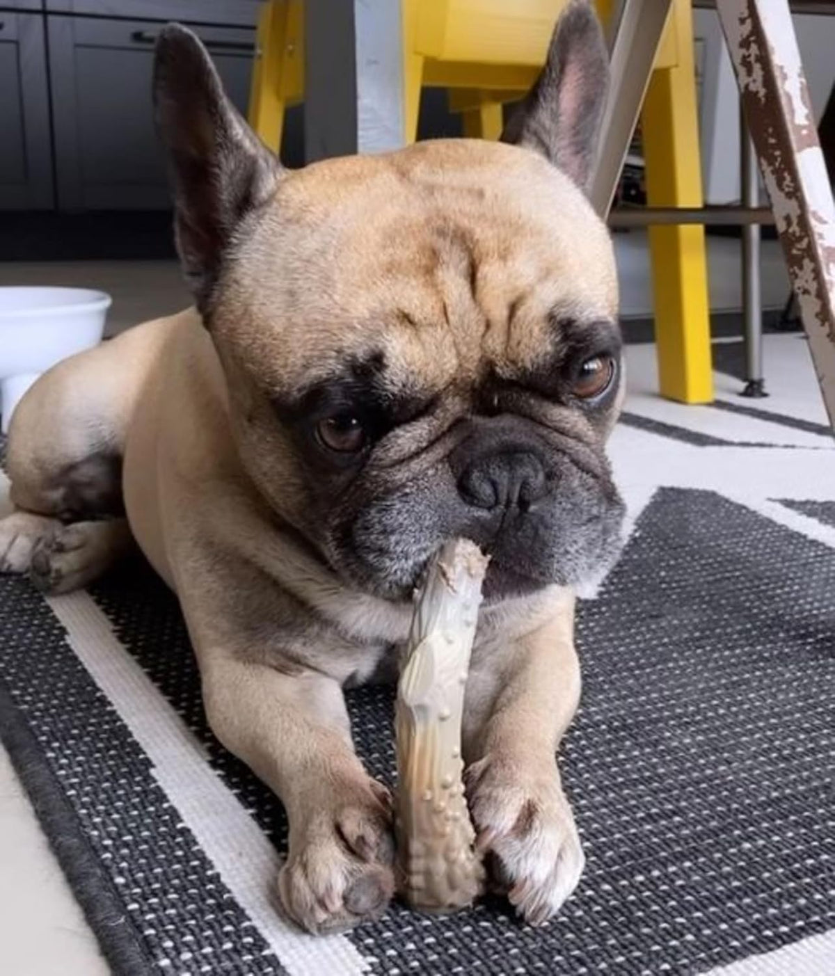 Nylabone Power Chew Antler Alternative Venison Flavor - Medium
