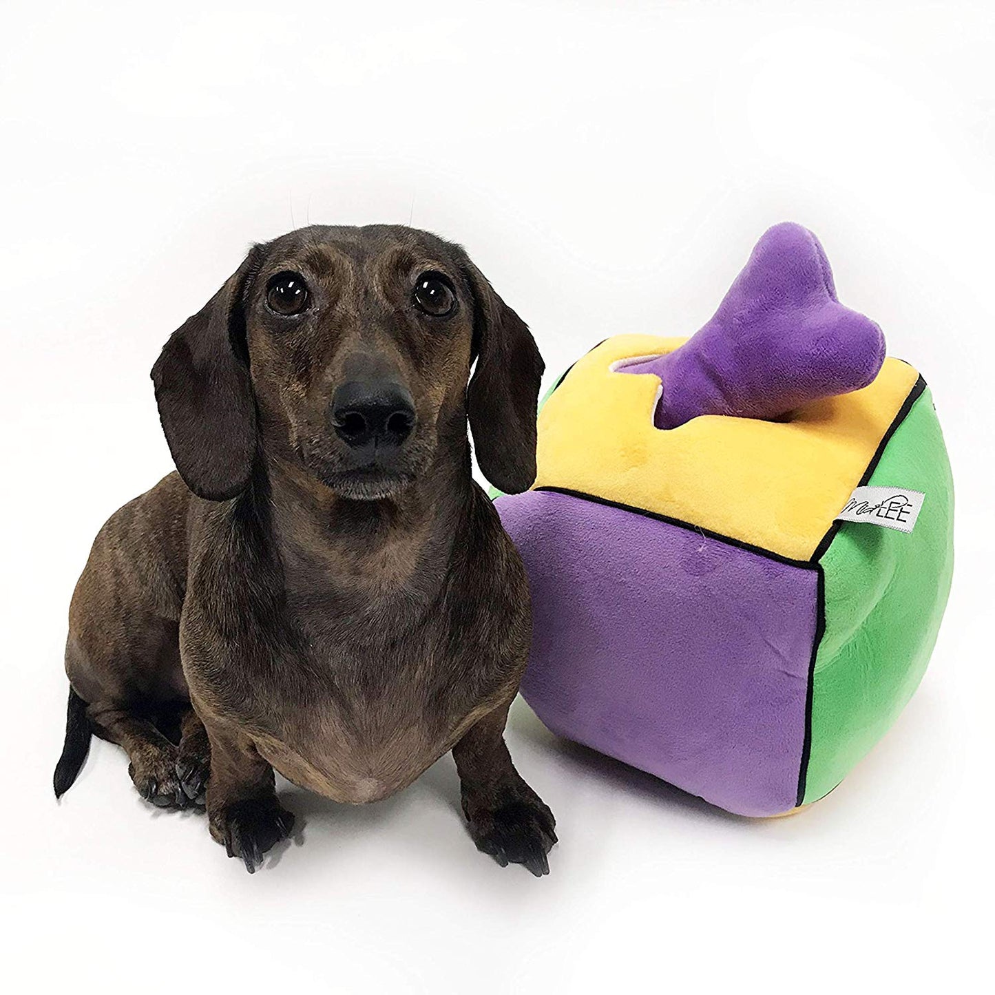 Midlee Plush Find a Bone Cube Dog Toy