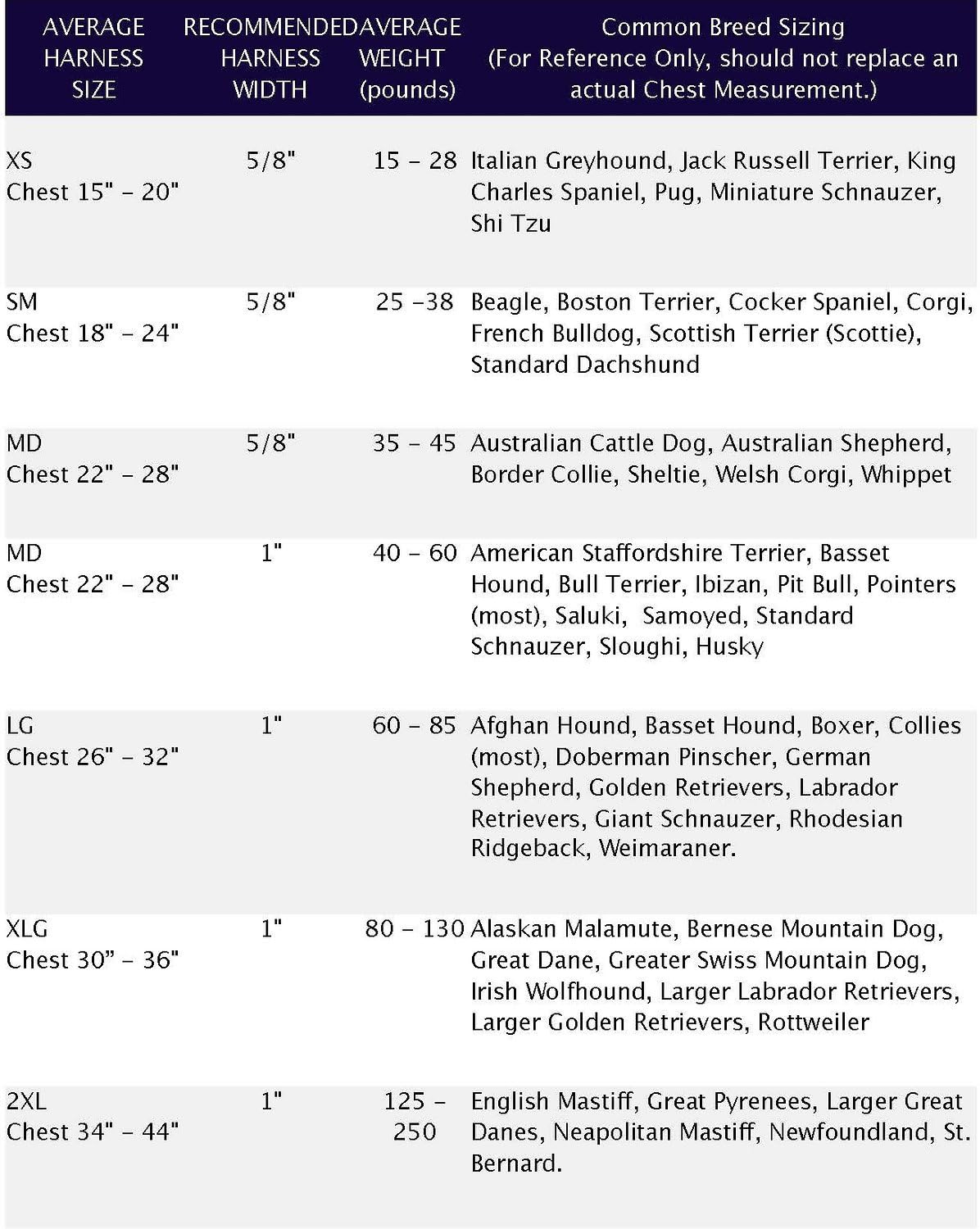 2 Hounds Design Freedom No Pull Harness and Leash Training Kit, Navy, 1" Medium