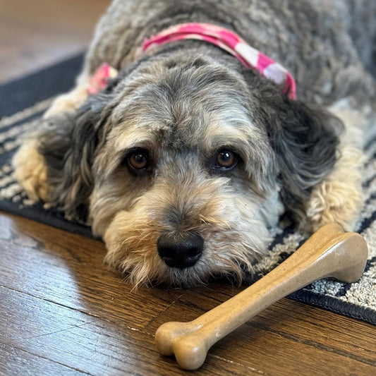 ETHICAL/SPOT Bam-Bone Bone Chicken Flavor Dog Chew Toy - 7.25"