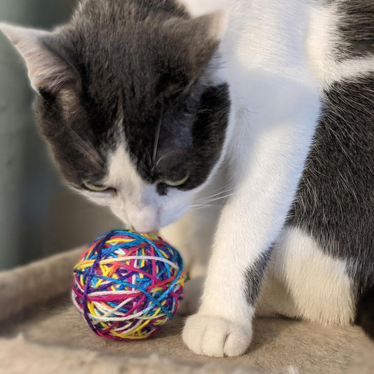 ETHICAL/SPOT Sew Much Fun Yarn Ball Cat Toys - 2.5" (2pk)